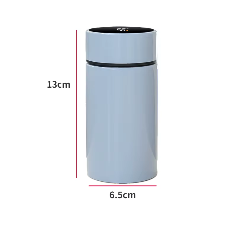 Mini Thermos de poche intelligent, bouteille d'eau avec affichage de la température de 200ml, flacons sous vide en acier inoxydable avec filtre