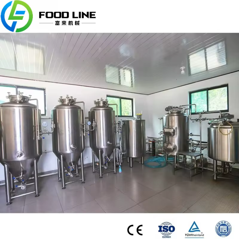 Réservoir de Fermentation de bière isobarique conique en acier inoxydable, 100l, 200l, pour microbrasserie