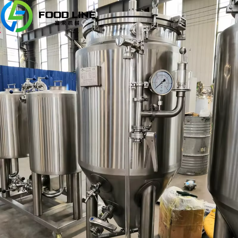 Réservoir de Fermentation de bière isobarique conique en acier inoxydable, 100l, 200l, pour microbrasserie