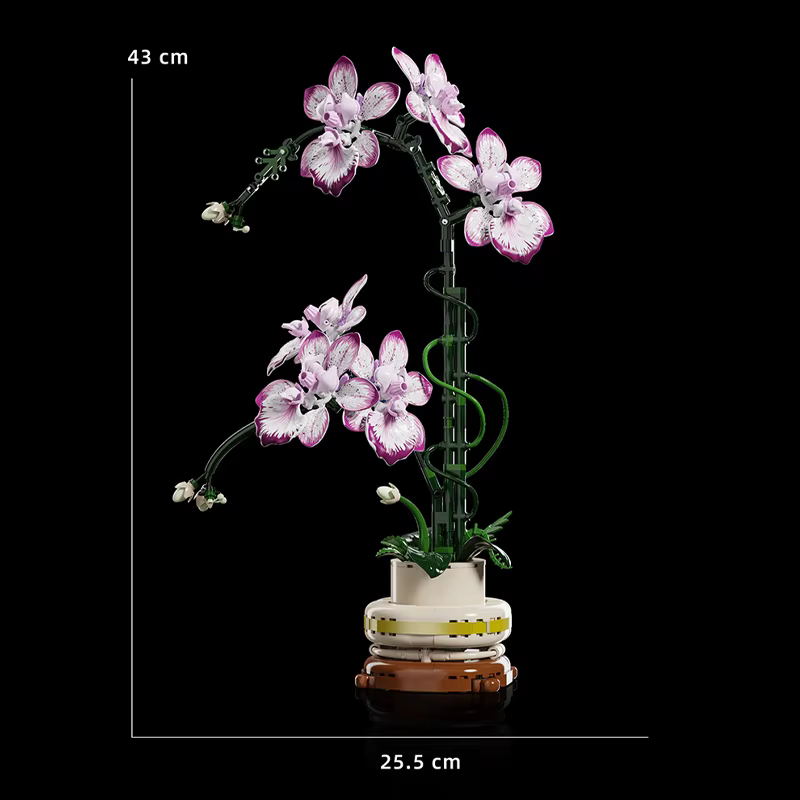 Blocs de construction de plantes en pot, orchidée créative, Cymbidium, fleurs éternelles, Simulation Phalaenopsis, briques à monter soi-même, jouets, cadeau de saint-valentin