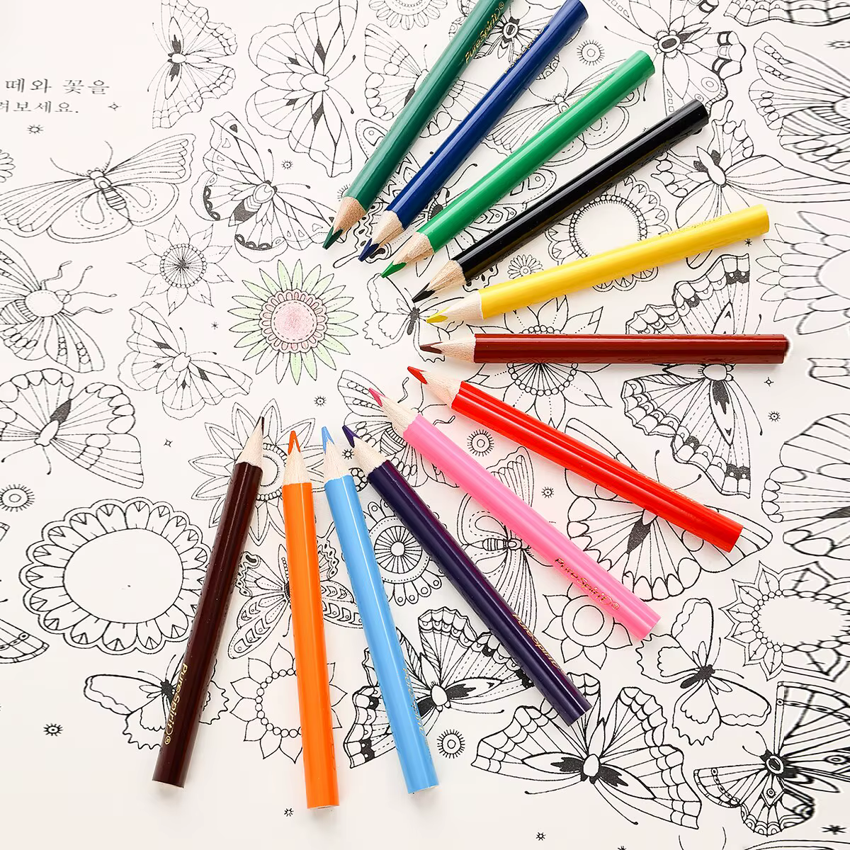 Ensemble de mini crayons de couleur courts pré-affûtés pour le dessin, le coloriage, l'ombrage, les enfants, les étudiants ou les enfants, 12 couleurs