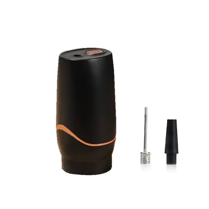 Pompe à vide électrique sans fil rechargeable, pompe à sacs compressés électrique portative, gain de