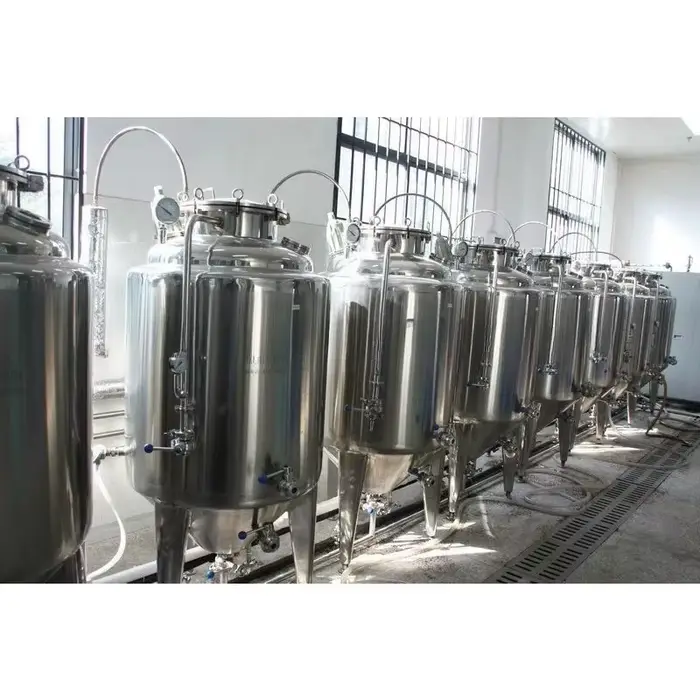 Réservoir de fermentation en acier inoxydable 200L pour la bière et le vin