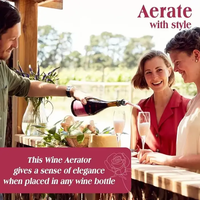 Décanteur à vin professionnel
