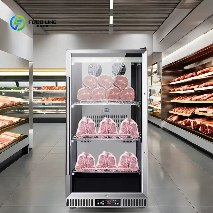Nouveau Réfrigérateur de maturation de viande de bœuf avec pompe à moteur