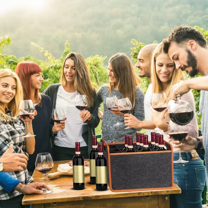 Sac de transport pour vin